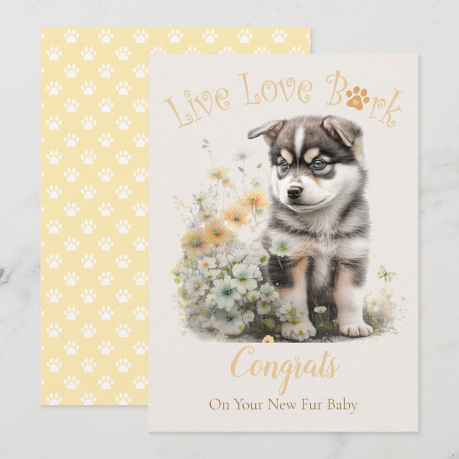 Alaskan Malamute Hund Adoption, Gotcha Day Kort (Fram/baksida)