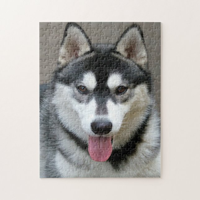 Alaskan Malamute Hund Ansikte Photo Pussel (Vertikal)
