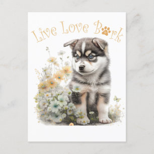 Alaskan Malamute Hund Mamma Blommig Vykort