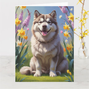 Alaskan Malamute Hund Vårblommor Målning Kort