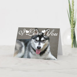 Alaskan Malamute Hundar Jag Älskar Dig Kort