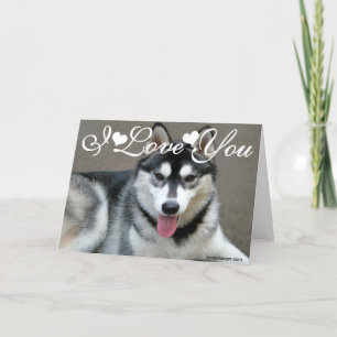Alaskan Malamute Hundar Jag Älskar Dig Kort