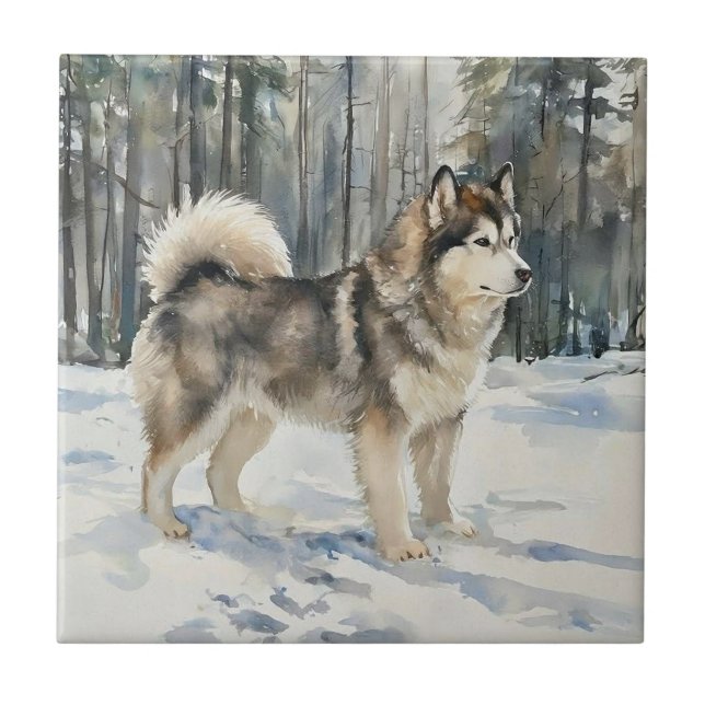Alaskan Malamute Kakelplatta (Framsidan)