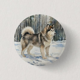 Alaskan Malamute Knapp