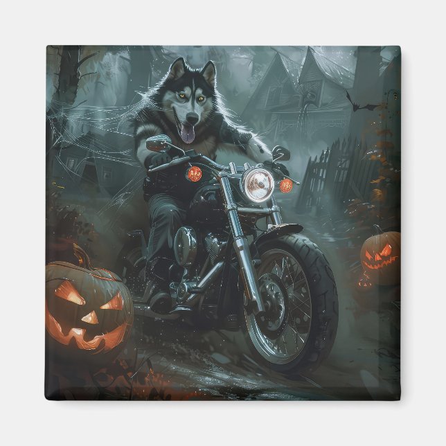 Alaskan Malamute Kör Motorcykel Halloween Skräckin Magnet (Framsidan)