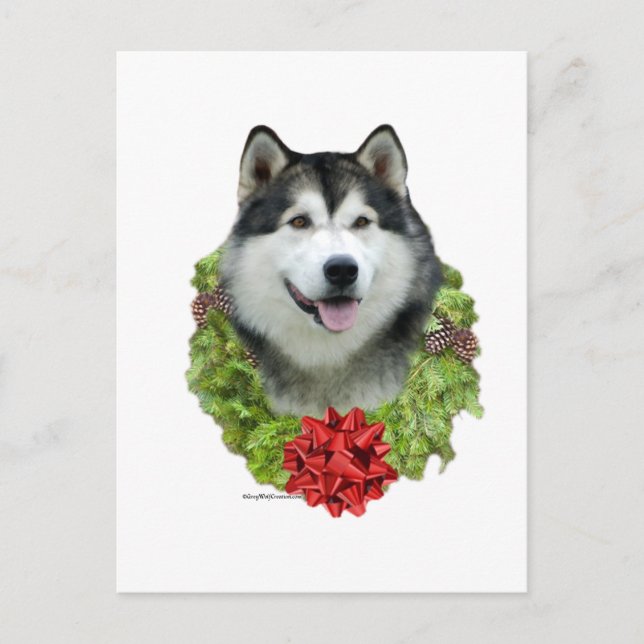 Alaskan Malamute-krans Vykort (Framsida)