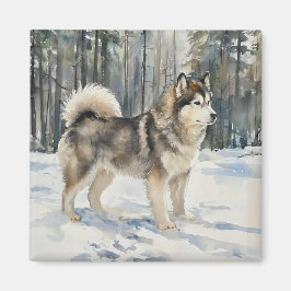 Alaskan Malamute Magnet