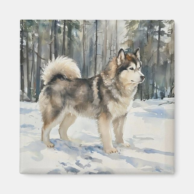 Alaskan Malamute Magnet (Framsidan)
