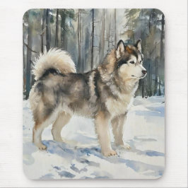 Alaskan Malamute Musmatta