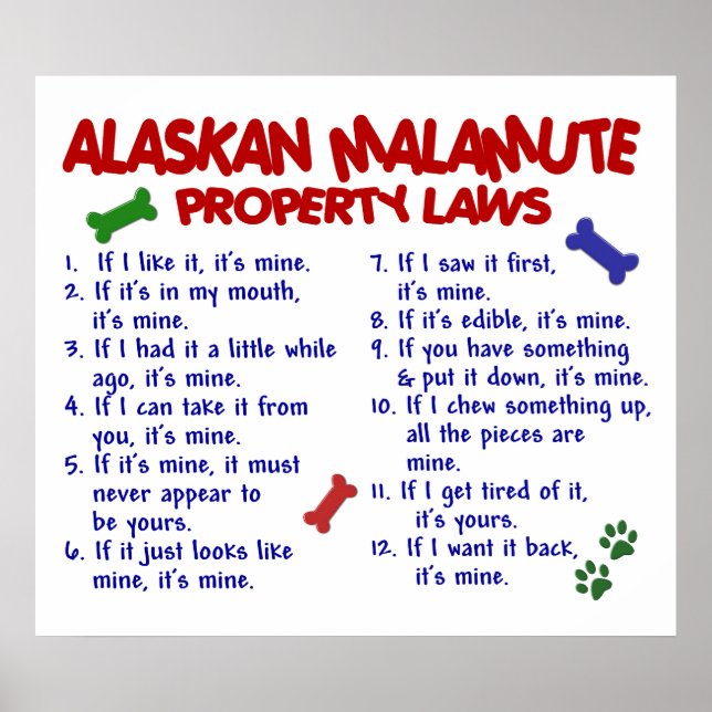 ALASKAN MALAMUTE PL2 POSTER (Framsidan)