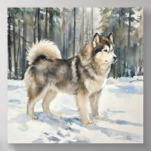 Alaskan Malamute smyckesask