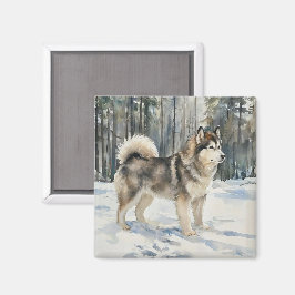 Alaskan Malamute Trinket Box Magnet