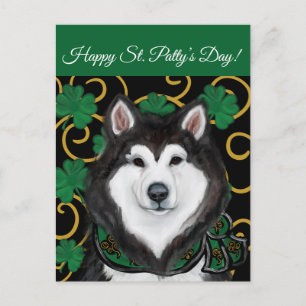 Alaskan Malamute                 Vykort