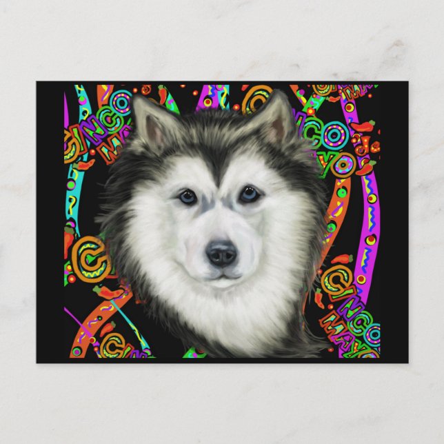 Alaskan Malamute   Vykort (Framsida)