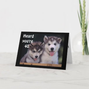 "ALASKAN MALAMUTES 40:e BIRTHDAY ÖNSKEMÅL" Kort