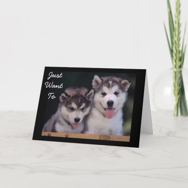"ALASKAN MALAMUTES BIRTHDAY ÖNSKEMÅL" KORT (Framsida)