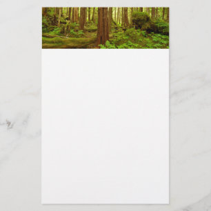 Alaskan Temperate Rainforest Brevpapper
