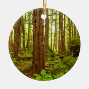 Alaskan Temperate Rainforest Julgransprydnad Keramik