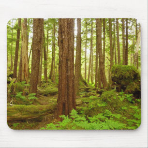 Alaskan Temperate Rainforest Musmatta
