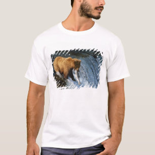 Alaskansk Brunbjörn Fångar Lax vid Brooks T-shirt