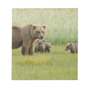 Alaskansk brunbjörnshona och tre ungar, Ursus Anteckningsblock