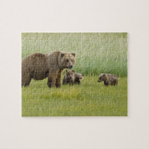 Alaskansk brunbjörnshona och tre ungar, Ursus Pussel