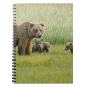 Alaskansk brunbjörnsso och tre ungar, Ursus Anteckningsbok Med Spiral