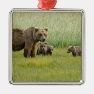 Alaskansk brunbjörnsso och tre ungar, Ursus Julgransprydnad Metall