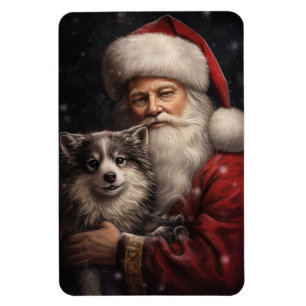 Alaskansk Malamute med Tomte Jul Magnet