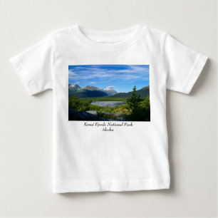 Alaskas Exit Glacier Valley T Shirt