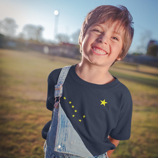 Alaskas Flagga Kids T-Shirt (Alaska's Flag Kids T-Shirt)