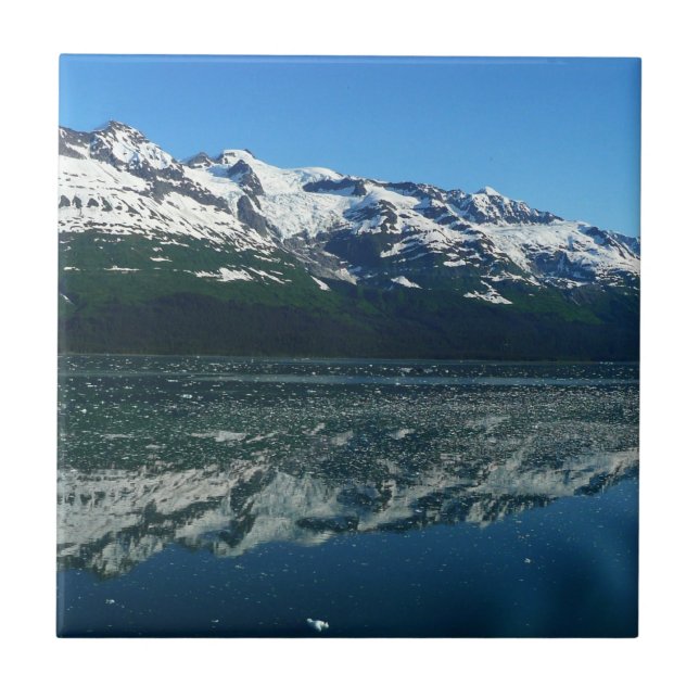 Alaskas kustlinje Vacker naturfotografi Kakelplatta (Framsidan)