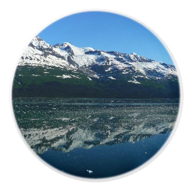 Alaskas kustlinje Vacker naturfotografi Knopp (Framsidan)