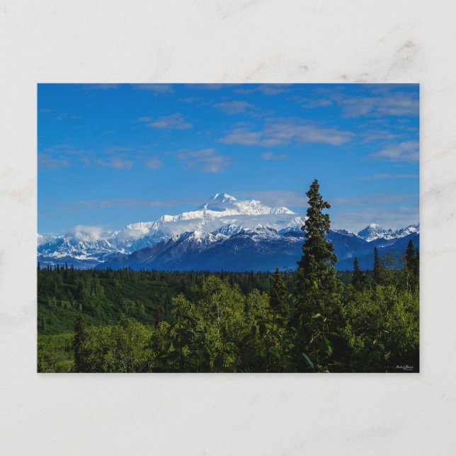 Alaskas Mt. McKinley Vykort (Framsida)
