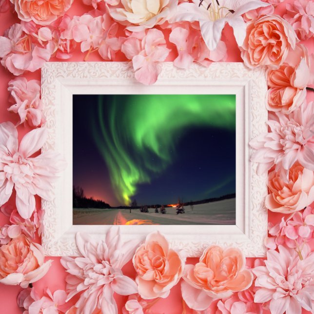 Alaskiska Norrskensnatt Fototryck (Northern Lights Photo)