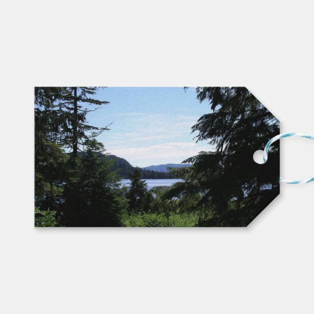 Alaskiskt Landskap Vacker Alaska Fotografi Presentetikett (Framsidan (Horisontell))