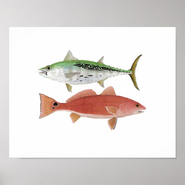 Albacore & Redfish Artwork Poster (Framsidan)