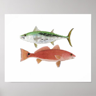 Albacore- & Redfishkonstverk Poster