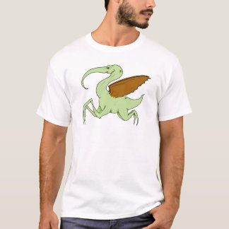 Albagront Tee Shirt