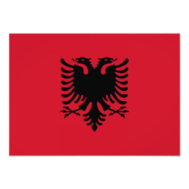 Albanien - Albaniens Flagga Fototryck (Framsidan)
