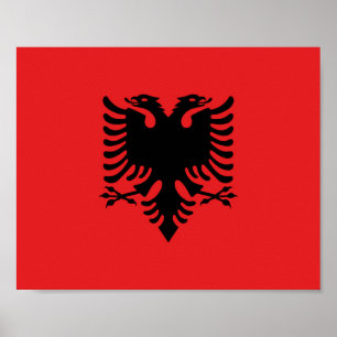 Albanien Flagga Poster