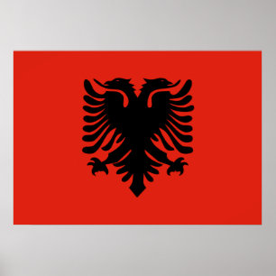 Albanien flagga poster