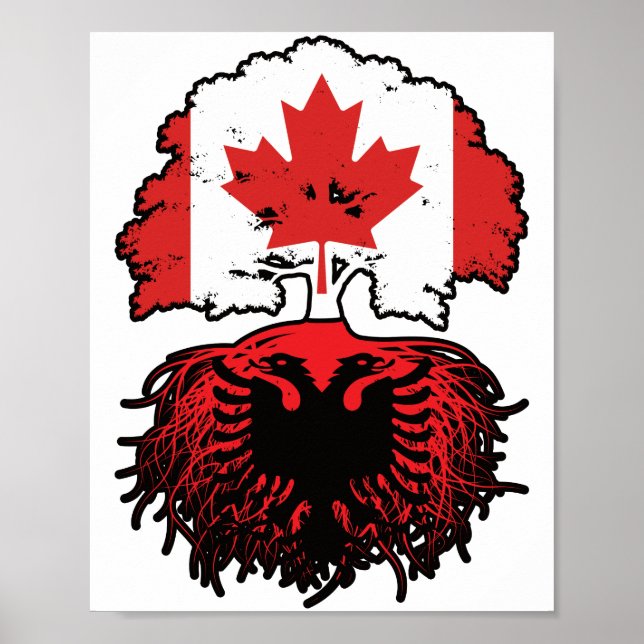 Albanienalbanska kanadensiska kanadensiska Träd Ro Poster (Framsidan)