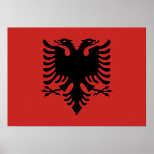 Albansk vapensköld poster