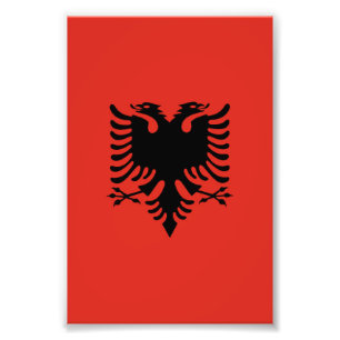 Albanska flagga fototryck