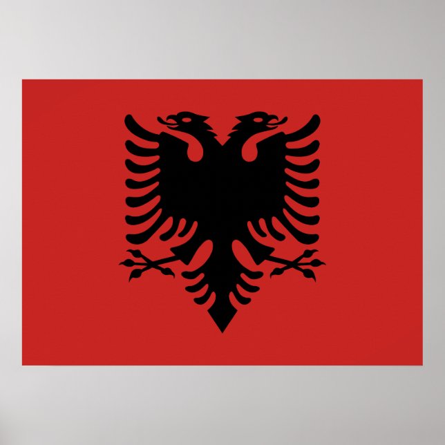 Albanska Jackar av arm Poster (Framsidan)