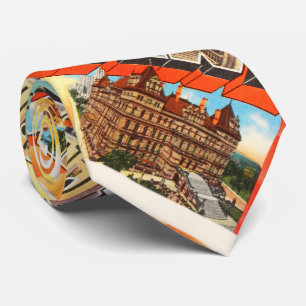 Albany New York NY gammal vintage resorsouvenir Slips