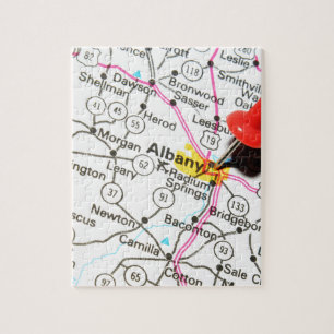 Albany New York Pussel