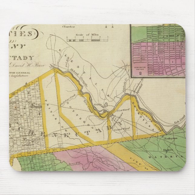 Albany, Schenectady County Musmatta (Framsidan)