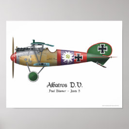 Albatros D.V. ww1 German Fighter Flygplan Bäumer Poster